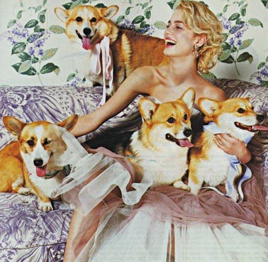 Young royal with corgis