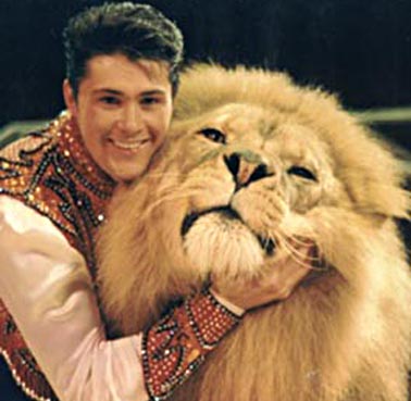 Circus lion