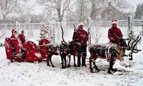 Father Christmas and his reindeer